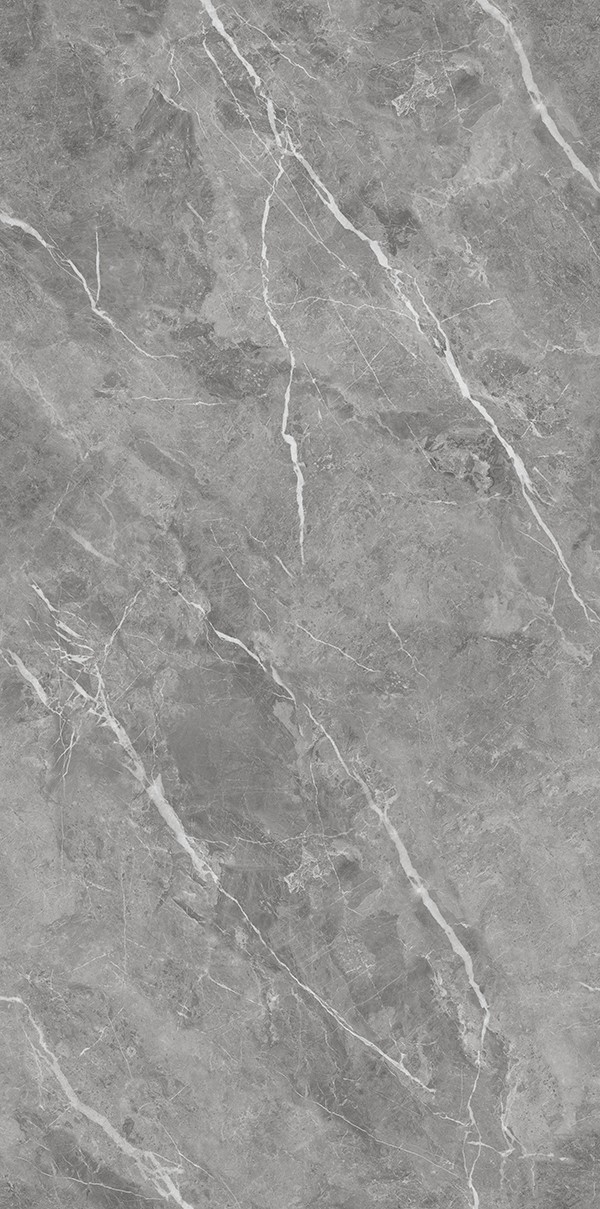 XD126710-莫兰迪灰